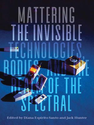 cover image of Mattering the Invisible